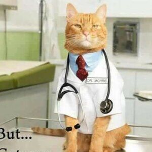 Cats Funny Photo Not For Sale.